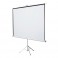 Pantalla de Tripie Redleaf, 135" Diagonal, Formato 1:1, 96"x96"(2.44 mts x 2.44 mts)